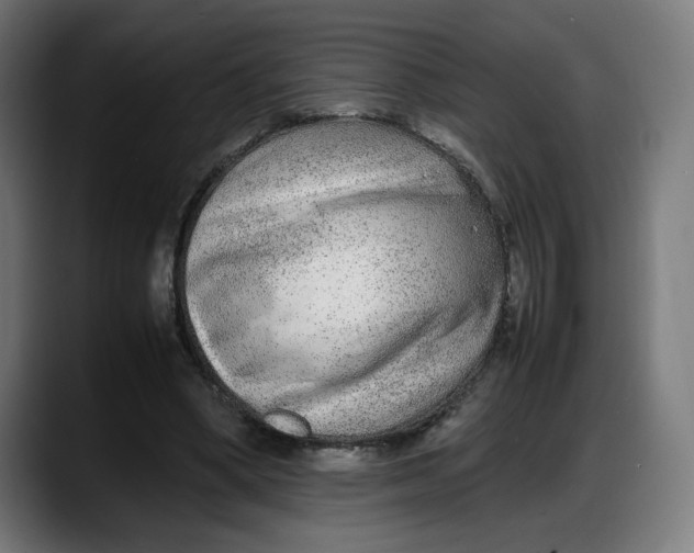 X0000087750394200705291038