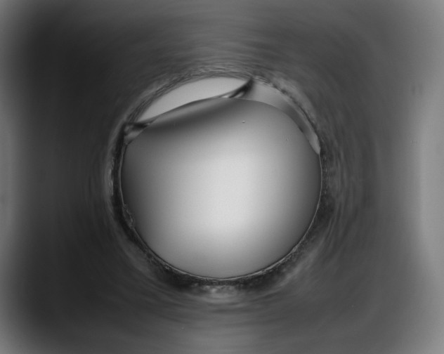 X0000087750395200705291038