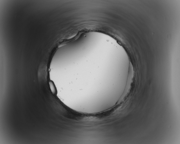 X0000087750397200705291038