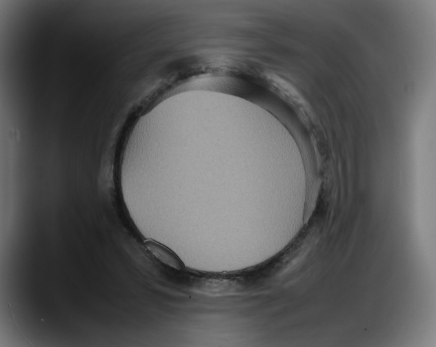 X0000087750399200705291038