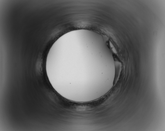 X0000087750400200705291038