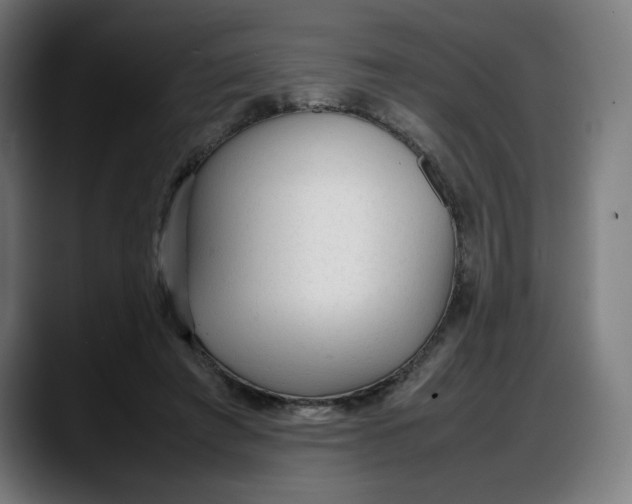 X0000087750401200705291038