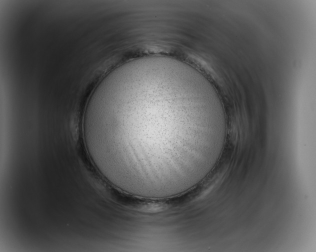 X0000087750402200705291038