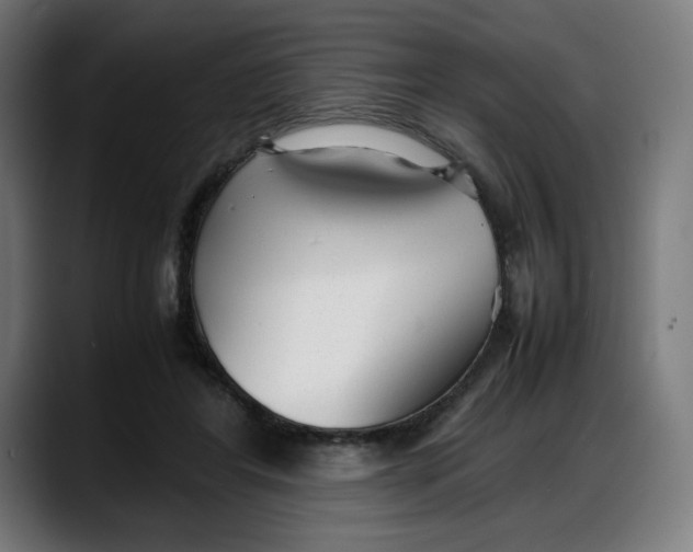 X0000087750404200705291038