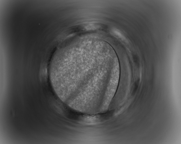 X0000087750405200705291038