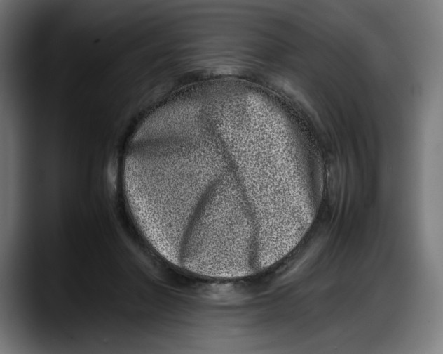 X0000087750406200705291038