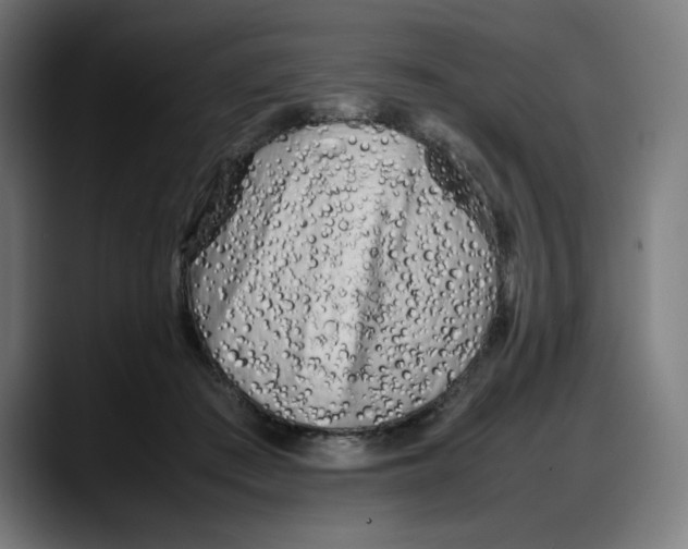 X0000087750409200705291037