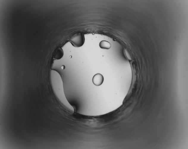 X0000087750411200705291037