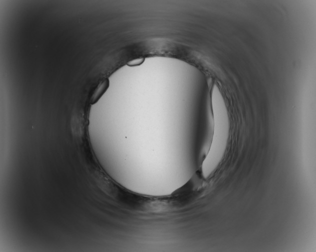 X0000087750413200705291037