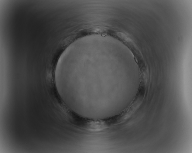 X0000087750415200705291037