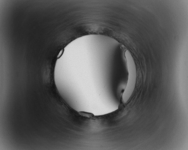 X0000087750416200705291037