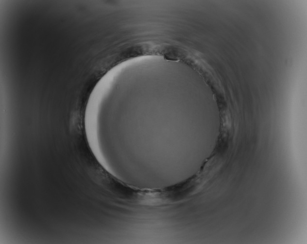 X0000087750419200705291037