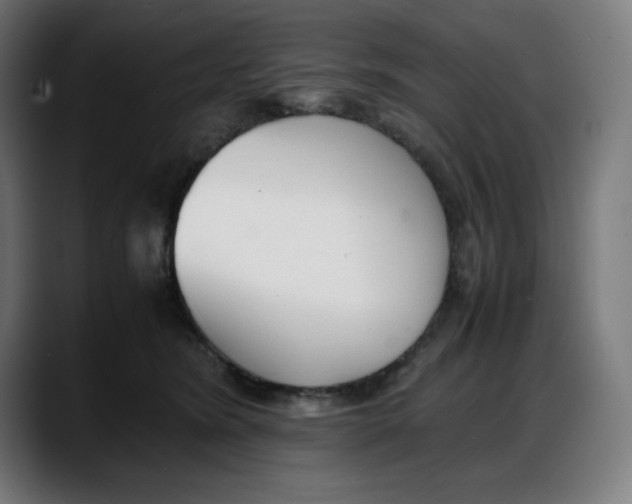 X0000087750420200705291037