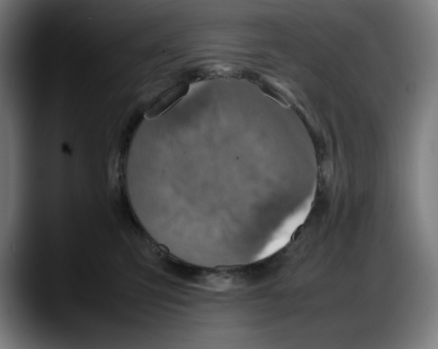 X0000087750423200705291037