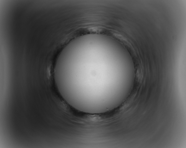 X0000087750424200705291037