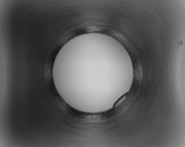 X0000087750426200705291037