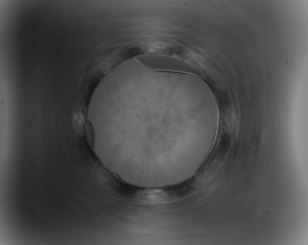 X0000087750427200705291037