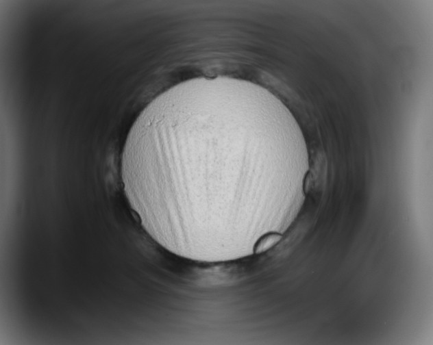 X0000087750430200705291037