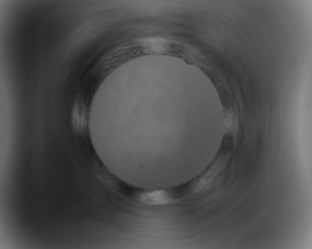 X0000087750431200705291037