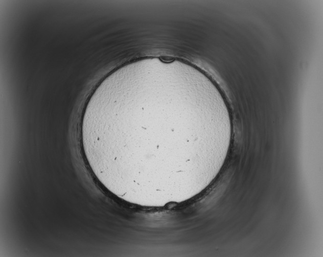 X0000087750433200705291036