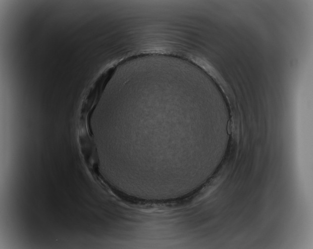 X0000087750434200705291036