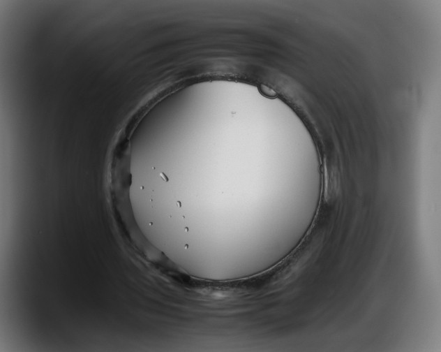 X0000087750435200705291036