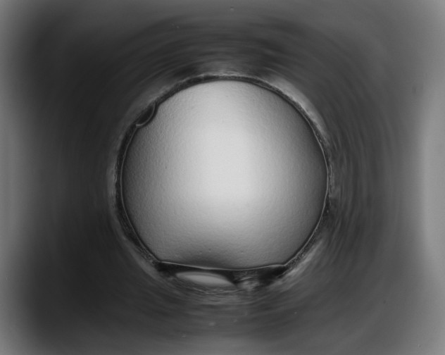 X0000087750437200705291036