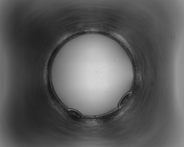 X0000087750439200705291036