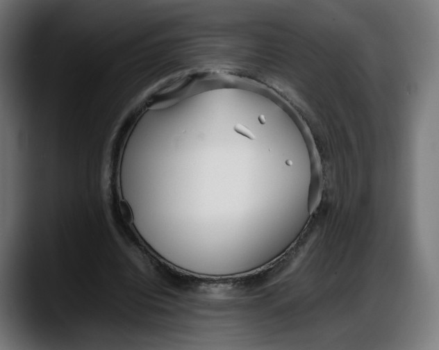 X0000087750440200705291036