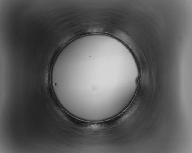 X0000087750441200705291036