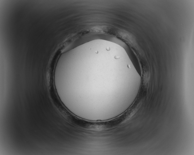 X0000087750444200705291037