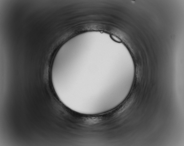 X0000087750445200705291037