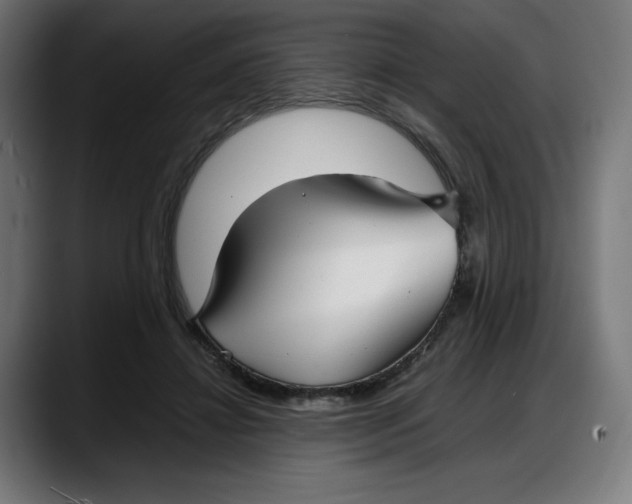 X0000087750452200705291037