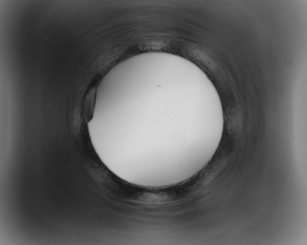 X0000087750455200705291037