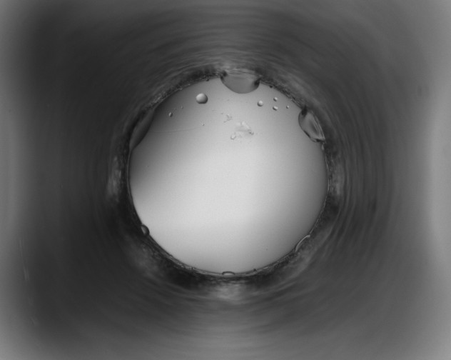 X0000087750456200705291037