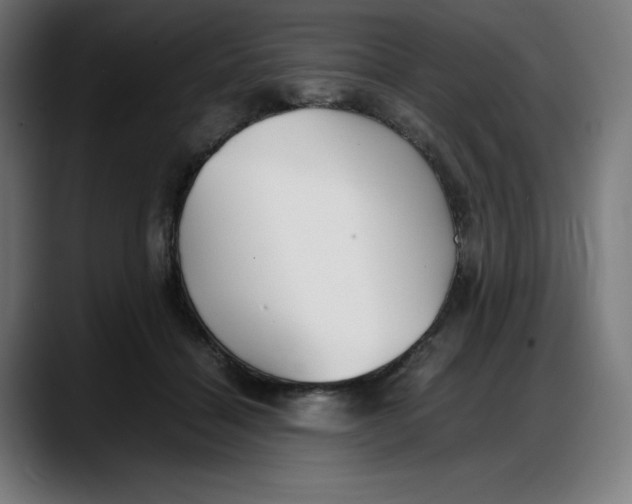 X0000087750460200705291037