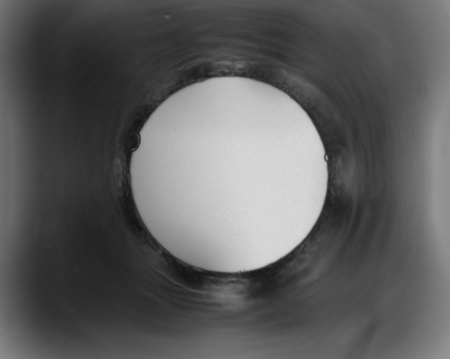 X0000087750463200705291037