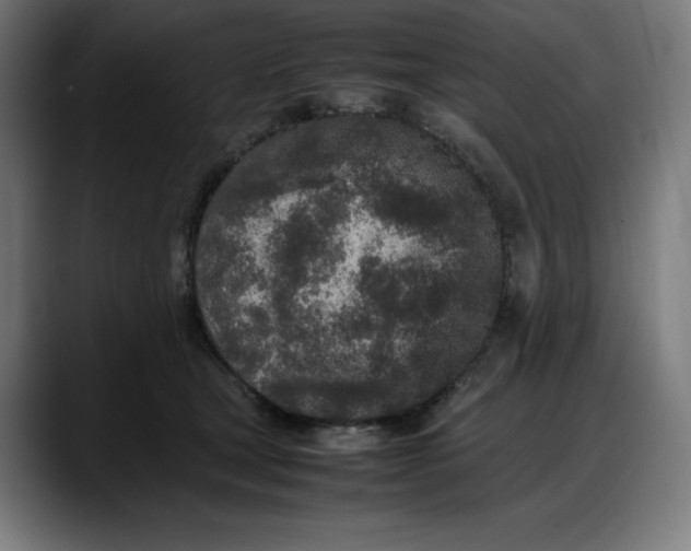 X0000087750465200705291037