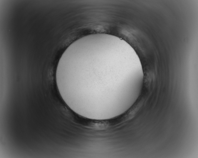 X0000087750466200705291037