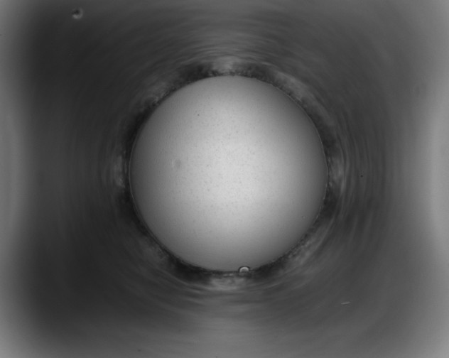 X0000087750470200705291037