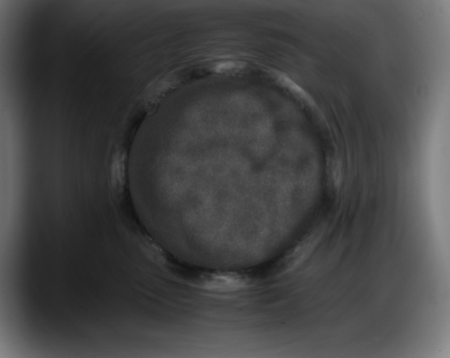 X0000087750475200705291037