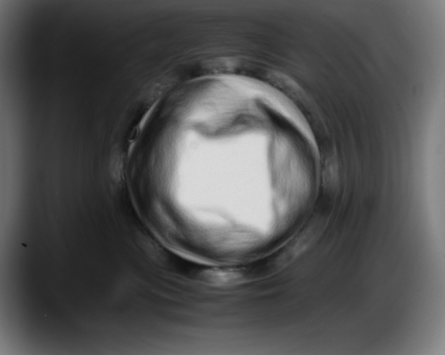 X0000087750477200705291037