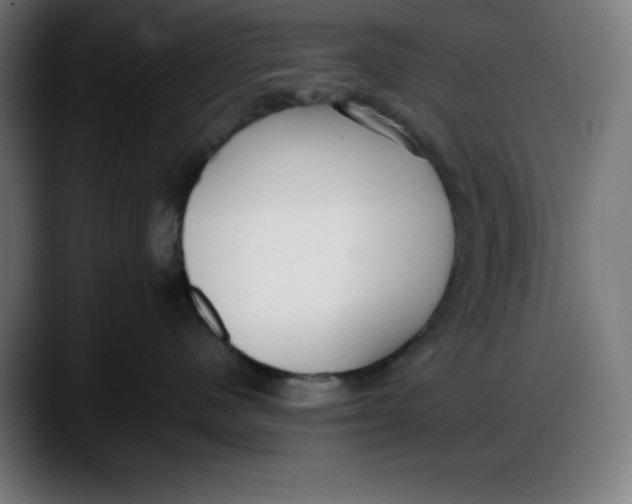 X0000087750480200705291037