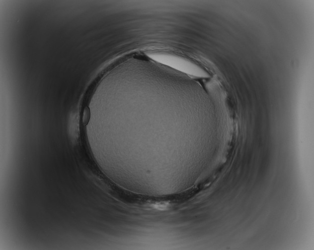 X0000087750484200705291036