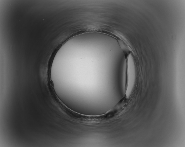 X0000087750485200705291036