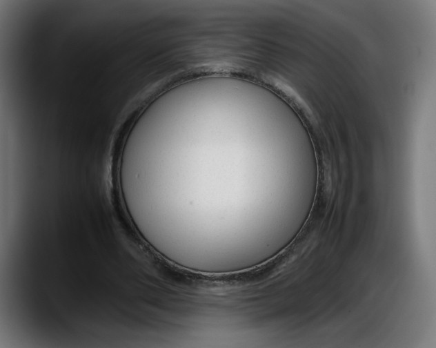 X0000087750486200705291036