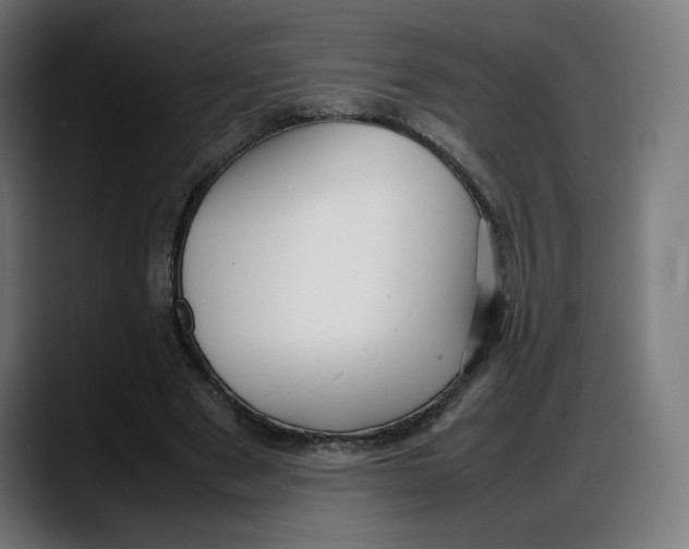 X0000087750489200705291036