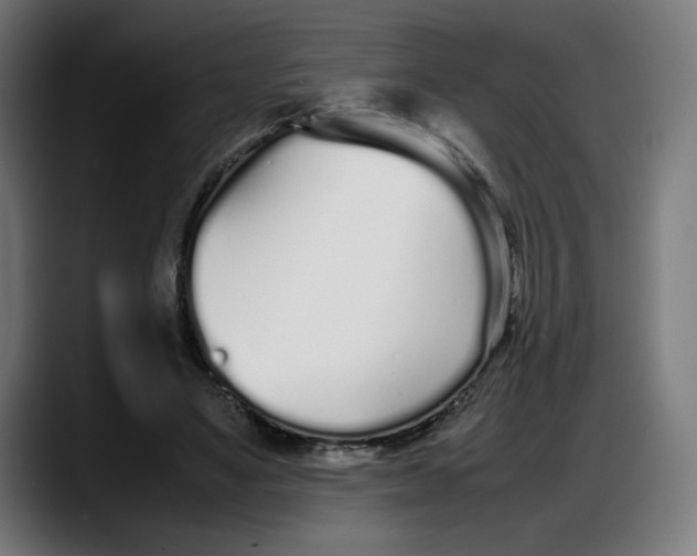 X0000087750491200705291036