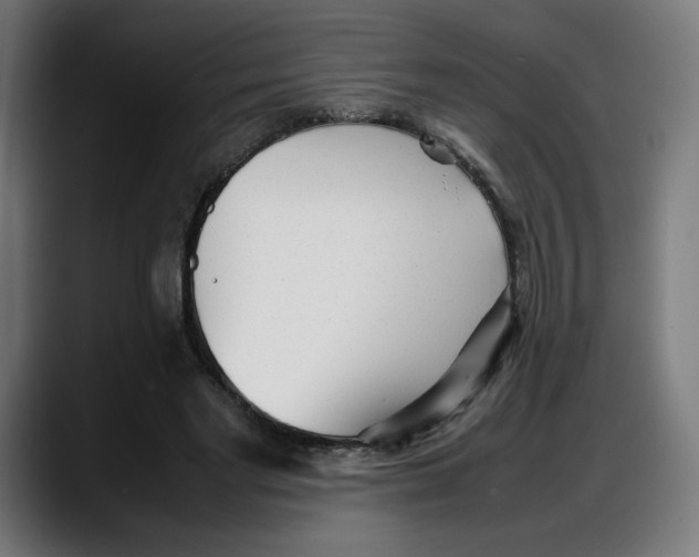 X0000087750493200705291036