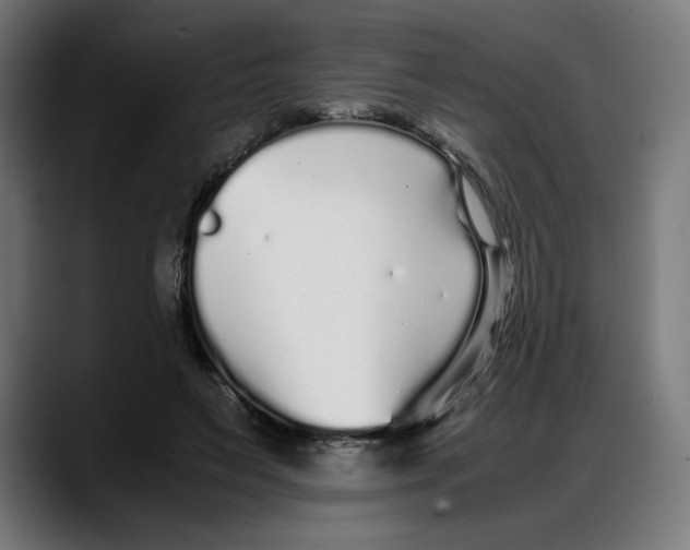 X0000087750495200705291036